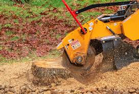 Best Soil Testing and Treatment  in Laurel, VA