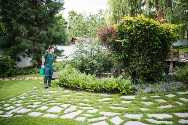 Tree and Shrub Care in Laurel, VA