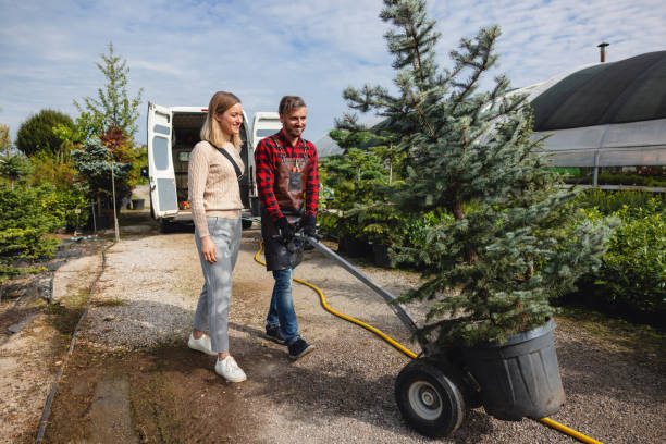 Best Tree Maintenance Programs  in Laurel, VA
